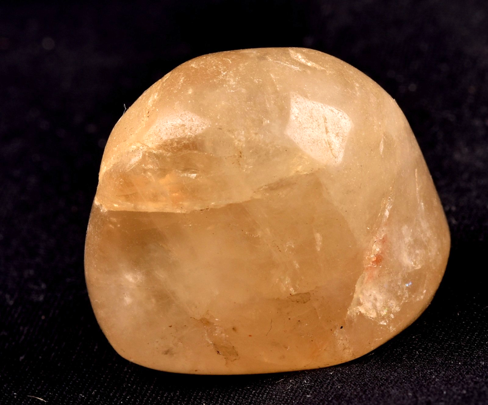 Himalayan golden healer   tumble  infusion of divine fire #8064
