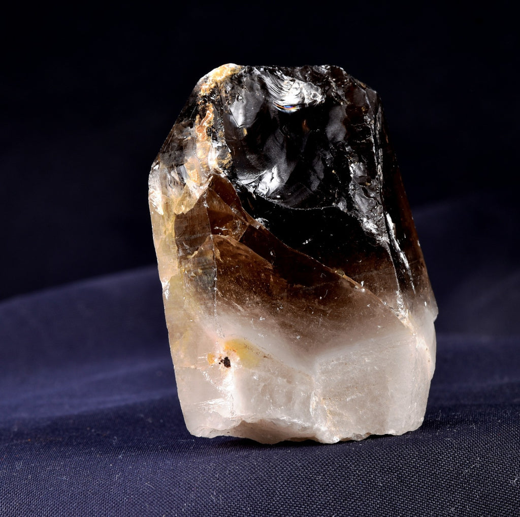 Morion Black LEMURIAN Raw Self Healed warrior Natural Smoky Master Crystal 8167