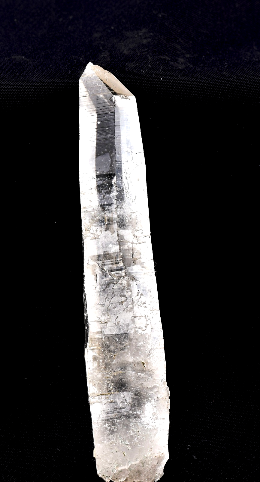 Himalayan silver lemurian  laser shaman  powerful shaman tool  #7888