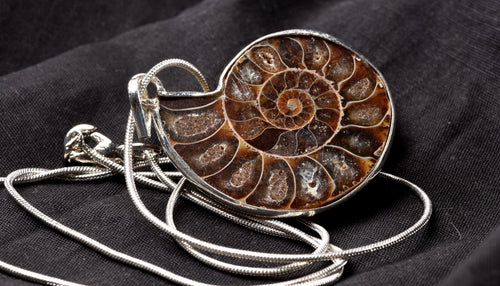 Ammonite pendant Emotional balance and stability  Protection #7542