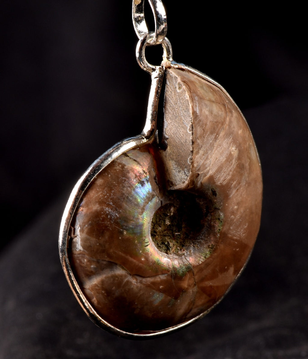 Ammonite pendant Emotional balance and stability  Protection #7542