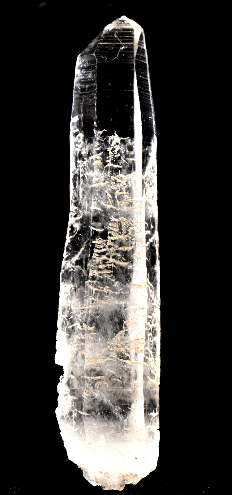 Himalayan silver lemurian  laser shaman  powerful shaman tool  #7888