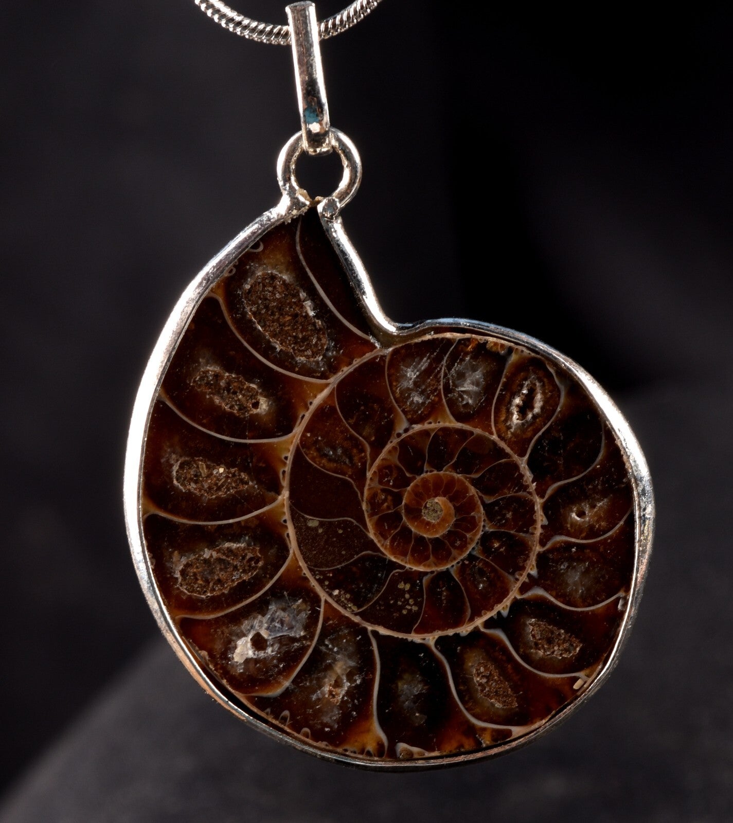 Ammonite pendant Emotional balance and stability  Protection #7542
