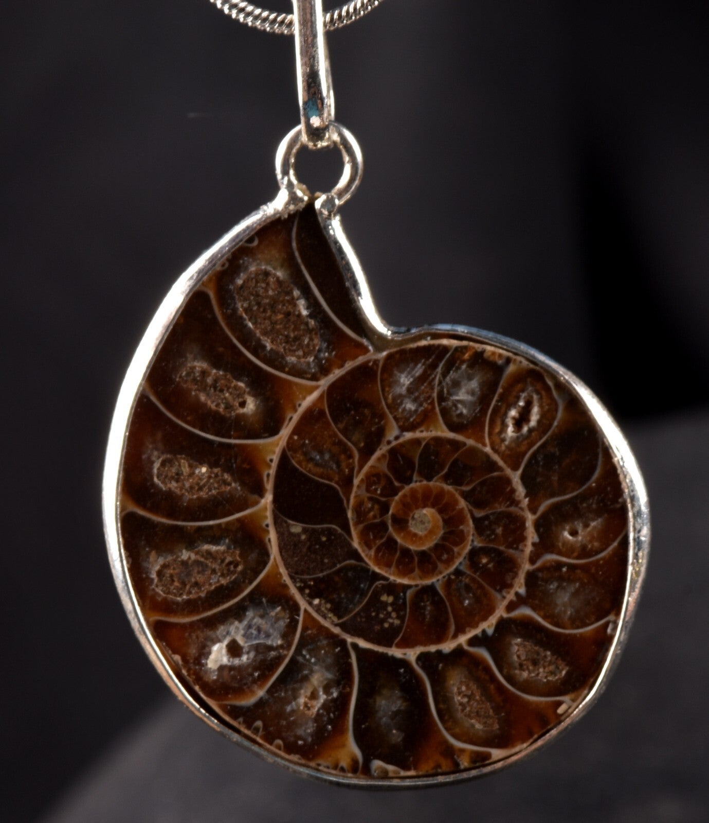 Ammonite pendant Emotional balance and stability  Protection #7542