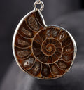 Ammonite pendant Emotional balance and stability  Protection #7542