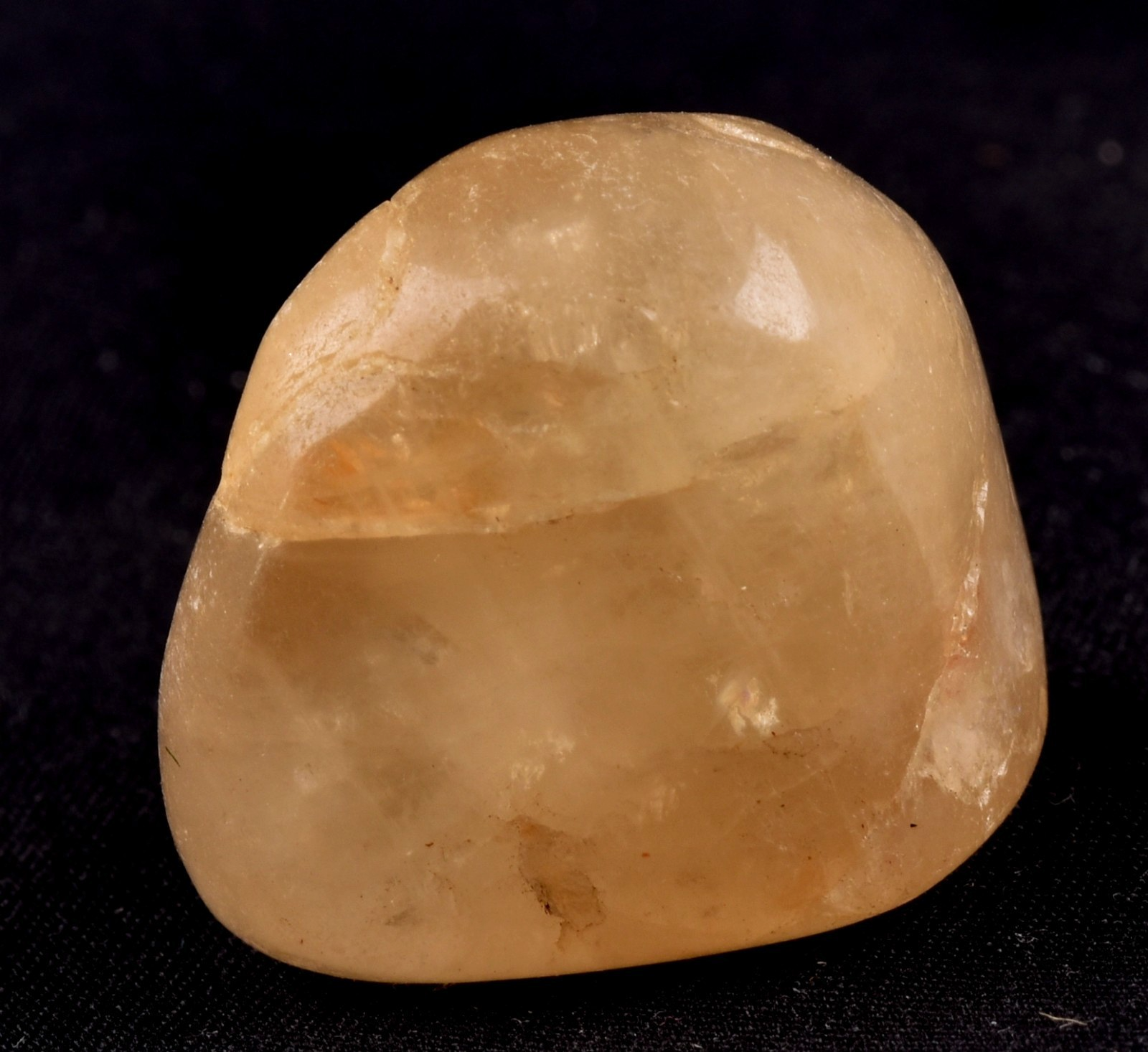 Himalayan golden healer   tumble  infusion of divine fire #8064