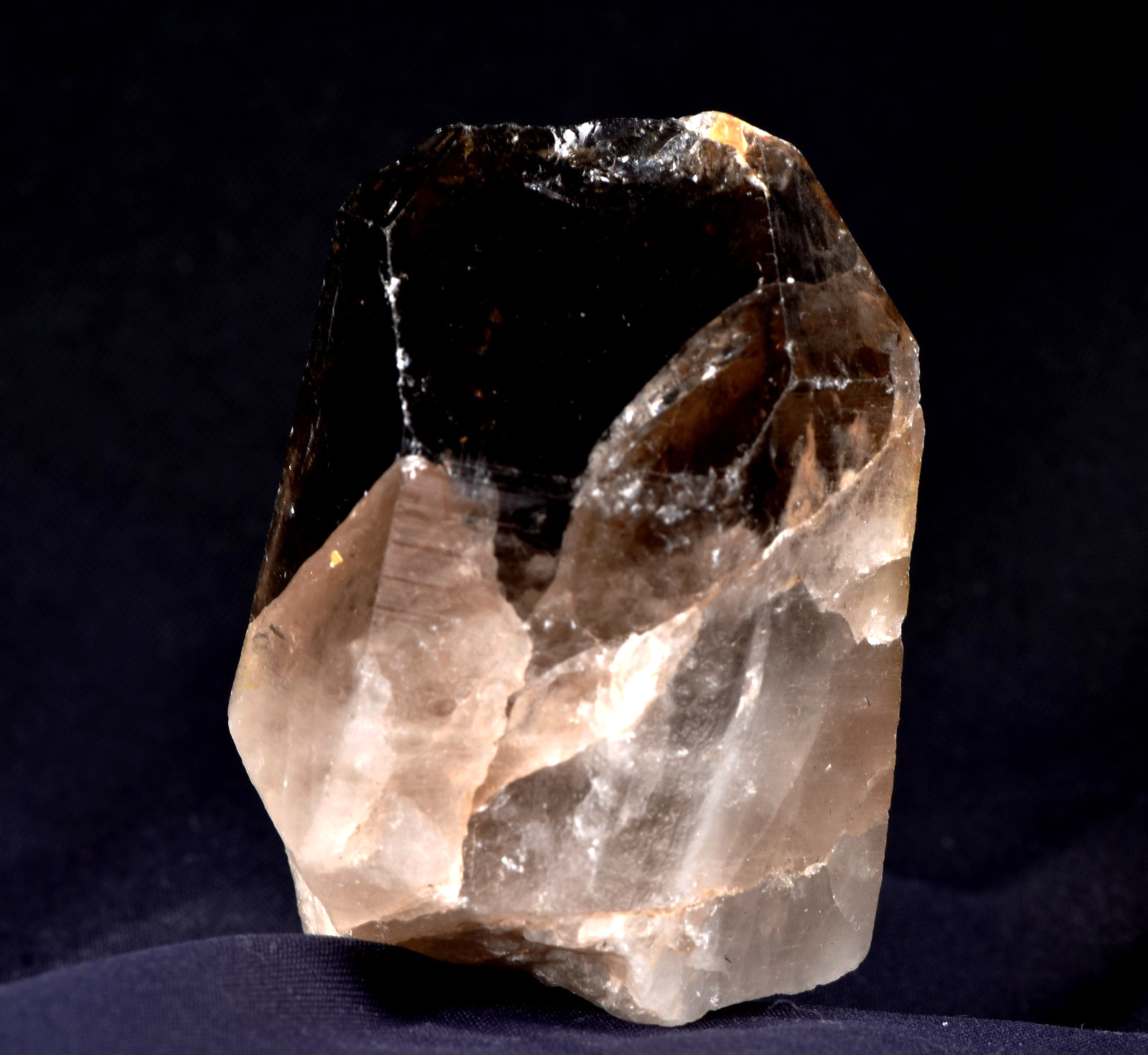 Morion Black LEMURIAN Raw Self Healed warrior Natural Smoky Master Crystal 8167