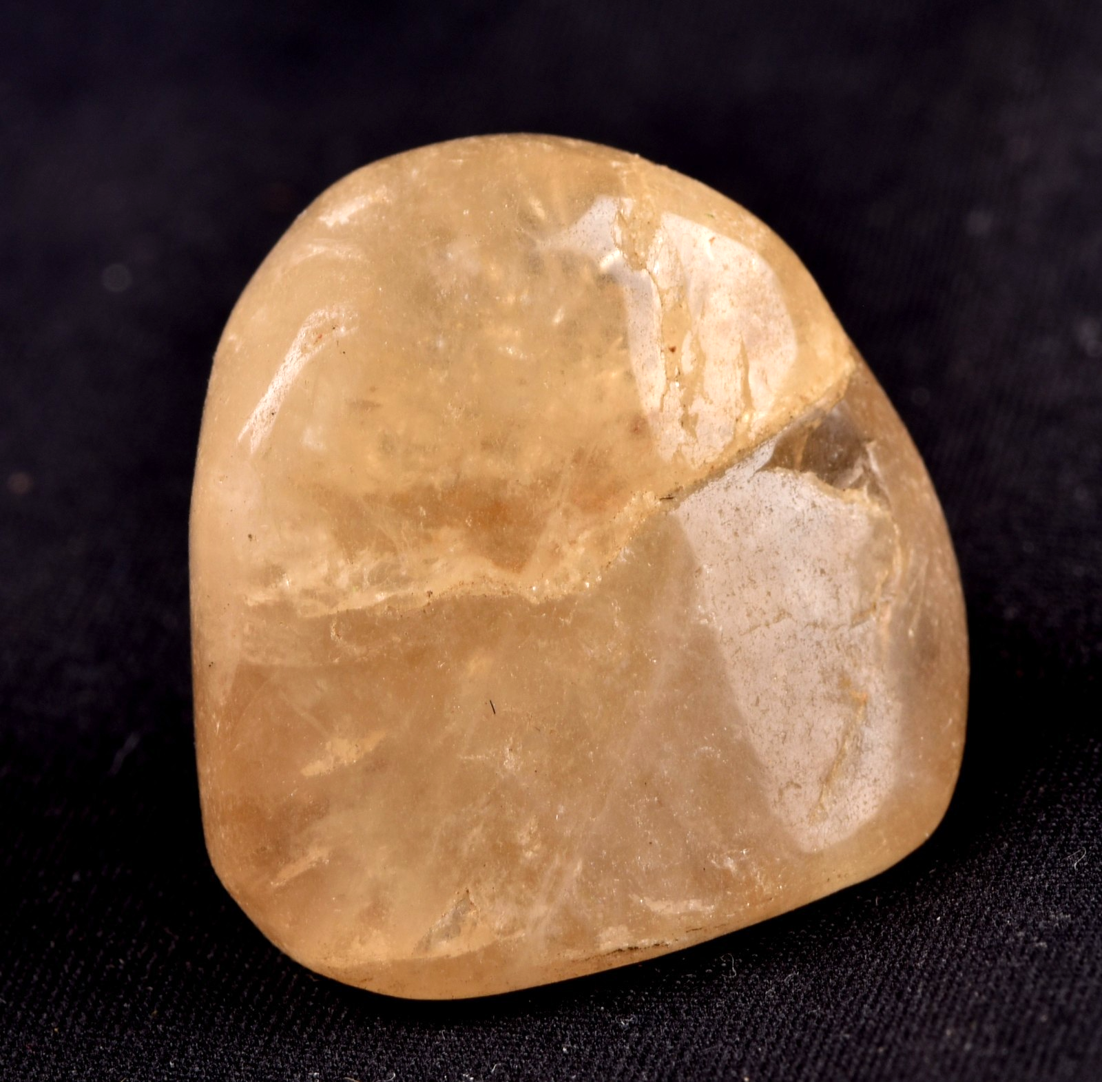Himalayan golden healer   tumble  infusion of divine fire #8064