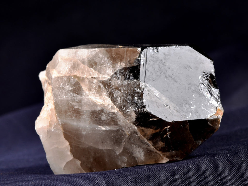 Morion Black LEMURIAN Raw Self Healed warrior Natural Smoky Master Crystal 8167