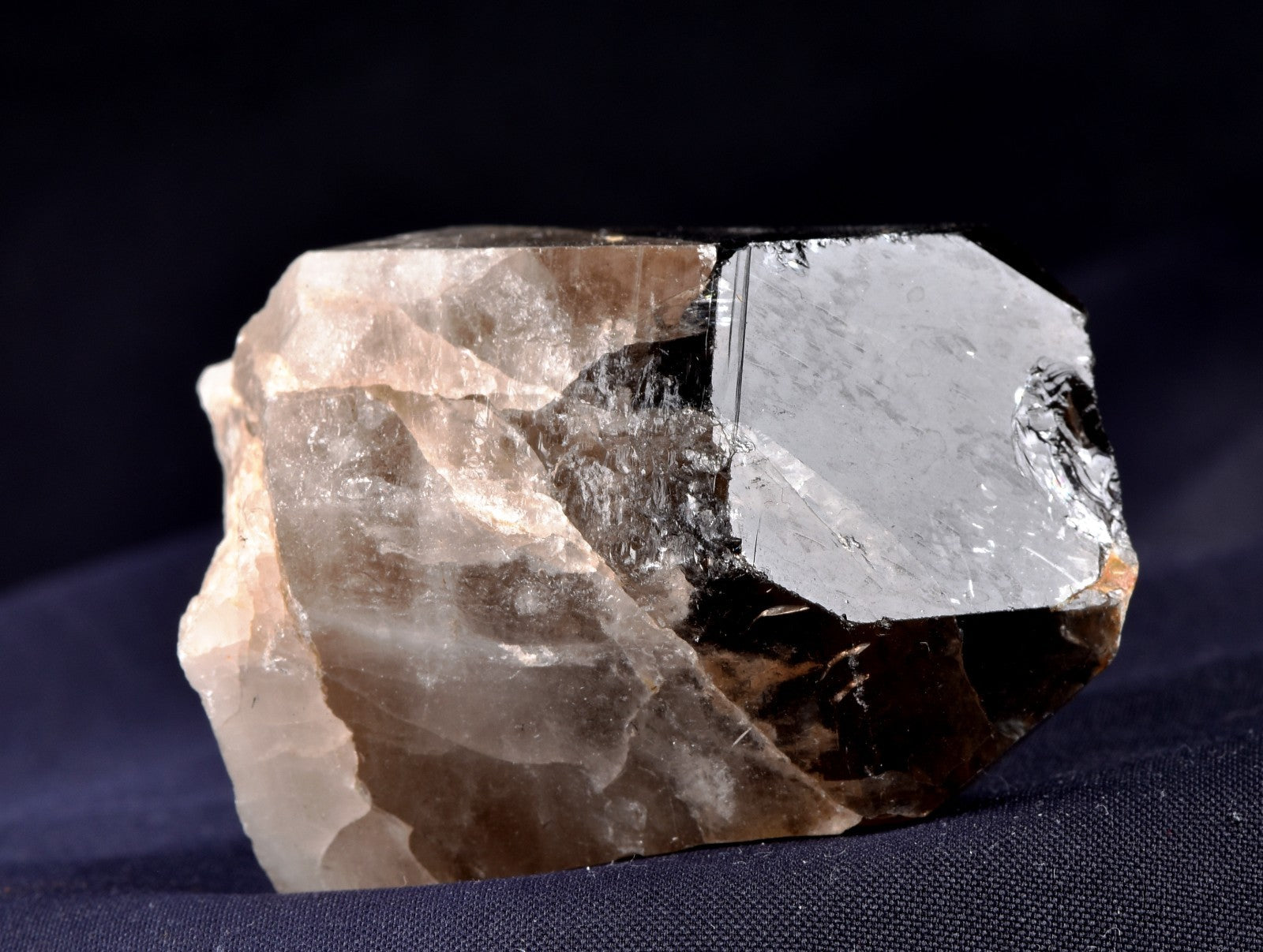 Morion Black LEMURIAN Raw Self Healed warrior Natural Smoky Master Crystal 8167