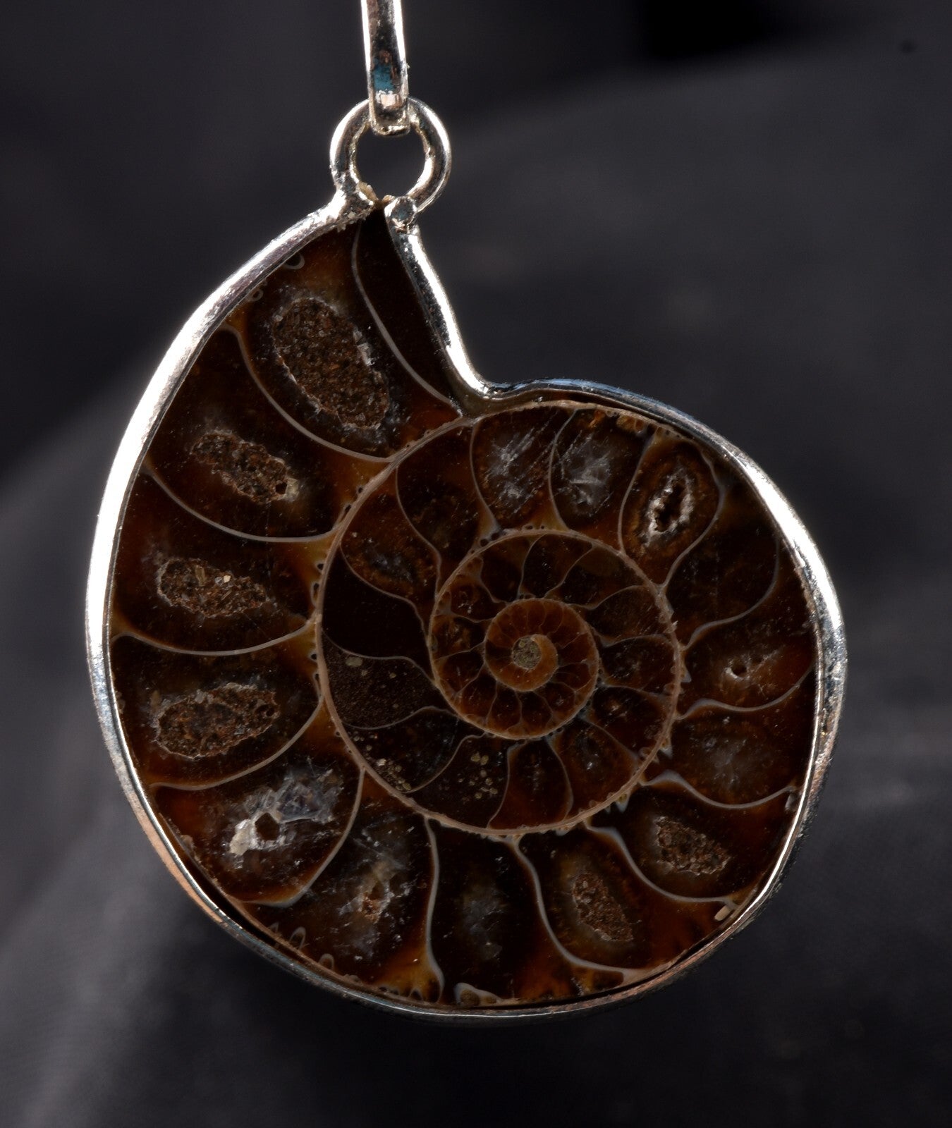 Ammonite pendant Emotional balance and stability  Protection #7542