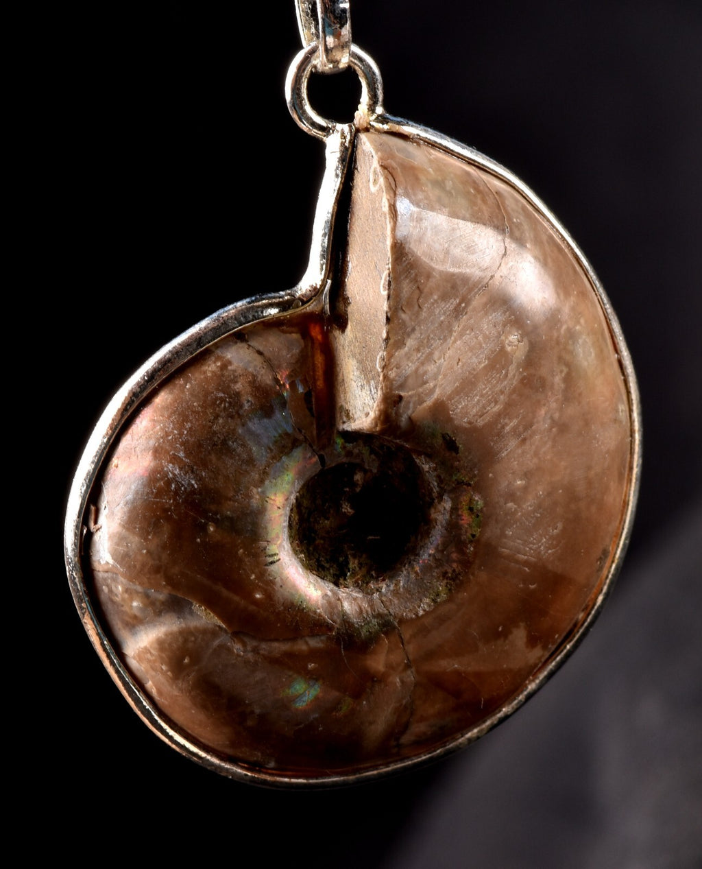 Ammonite pendant Emotional balance and stability  Protection #7542