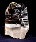 Morion Black LEMURIAN Raw Self Healed warrior Natural Smoky Master Crystal 8167