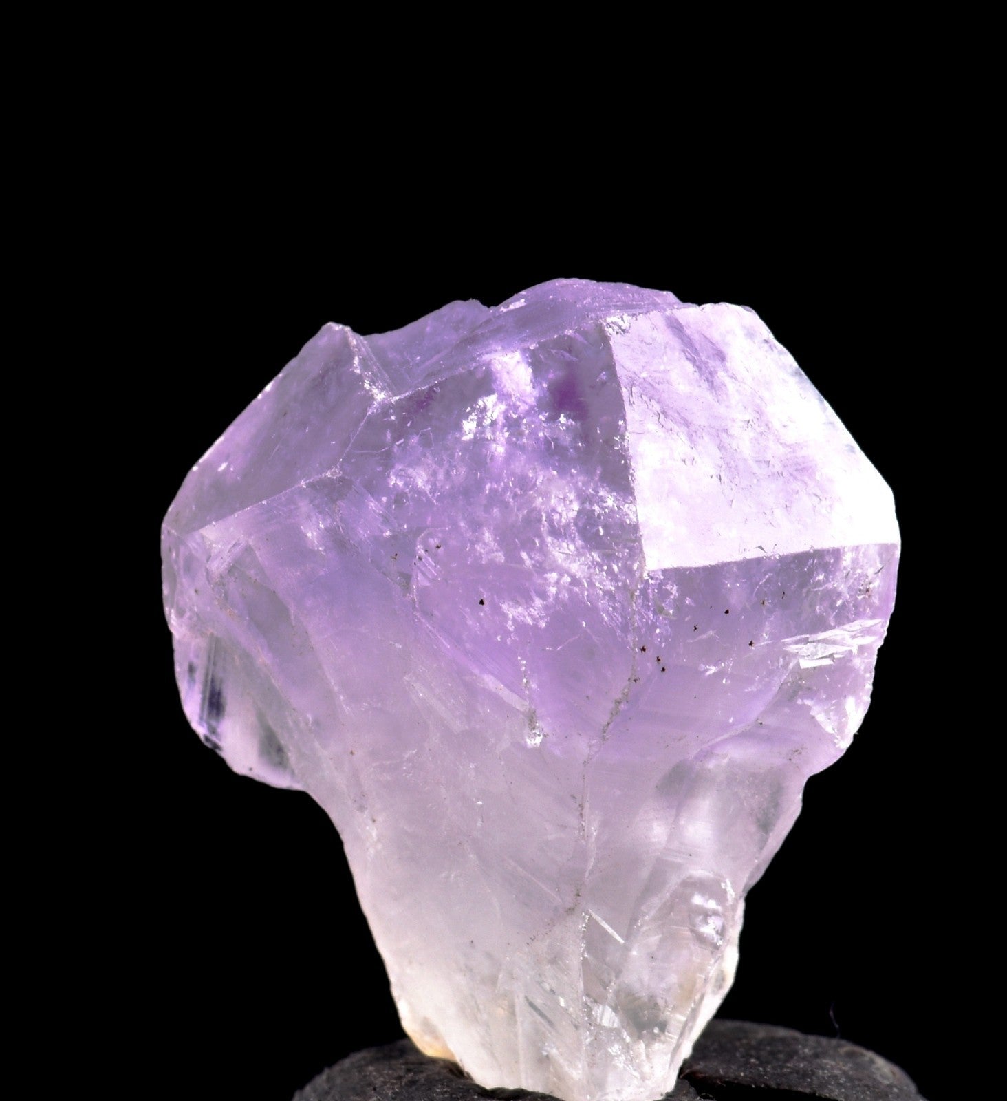 satyaloka  region quartz   synergy 12 high frequency amethyst hue   #8099