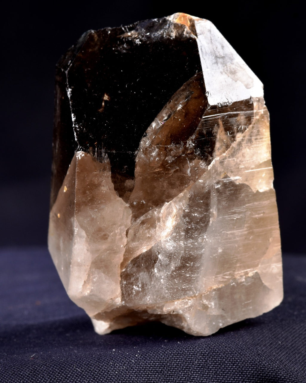Morion Black LEMURIAN Raw Self Healed warrior Natural Smoky Master Crystal 8167