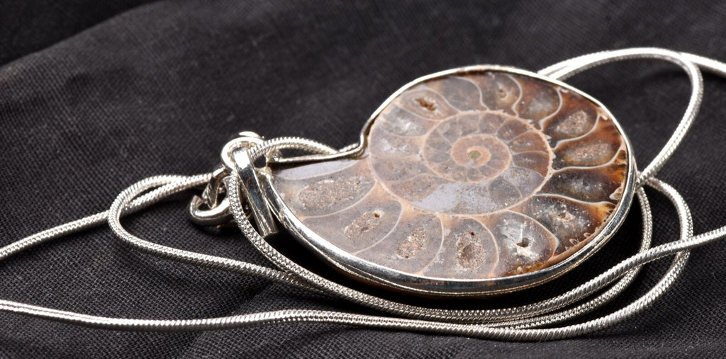 Ammonite pendant Emotional balance and stability  Protection #7542