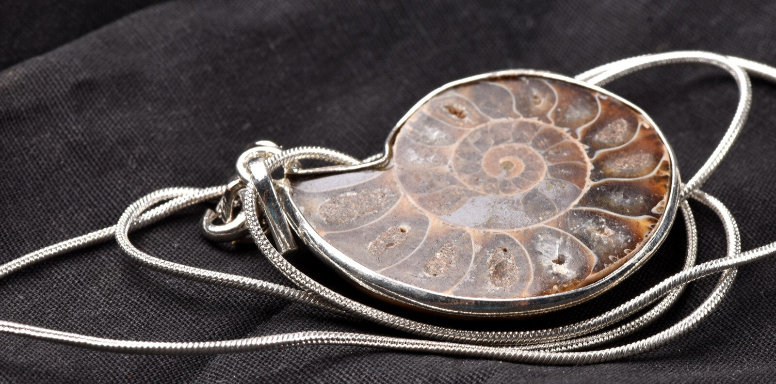 Ammonite pendant Emotional balance and stability  Protection #7542