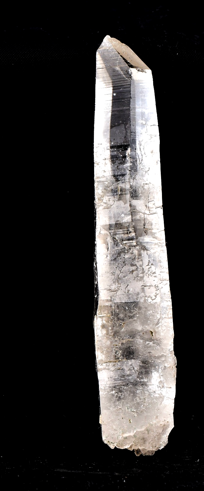 Himalayan silver lemurian  laser shaman  powerful shaman tool  #7888