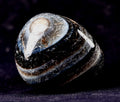old mystic Sulemani soloman stone  for luck wealth protection shaman  #7703