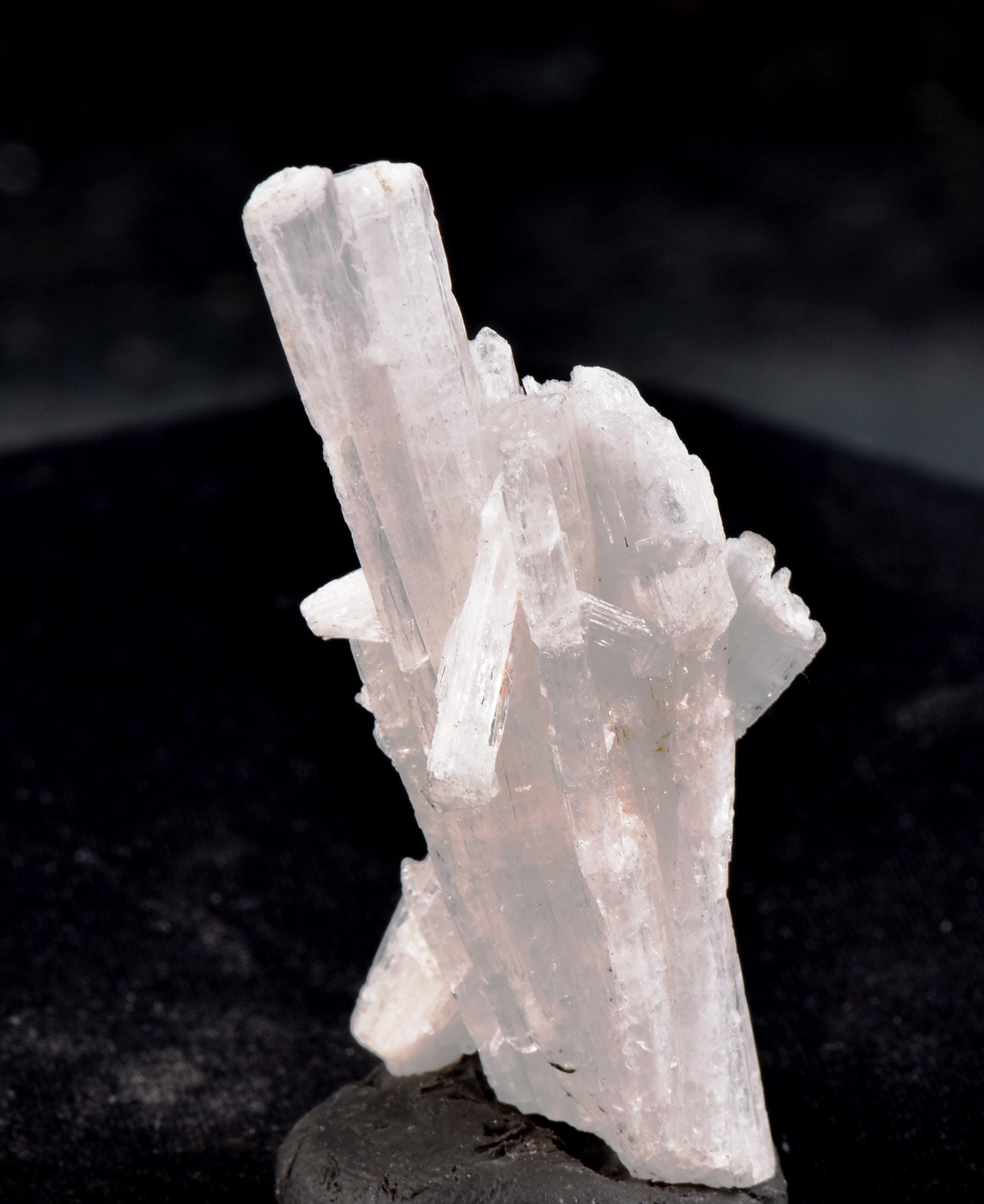Natrolite flower  high energy crystal healing ,third eye meditation 6787