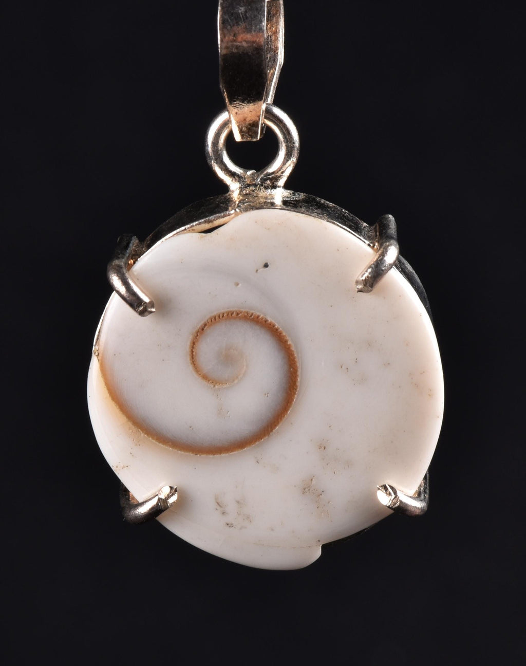 gomati chakra ''shivas third eye'' sterling silver  pendant  #7951