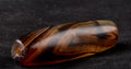 Mystic old  Sulemani  stone/dzi bead / bhaisajyaguru  shaman protection reach patina ''evil eye'' #7396
