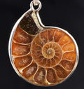 Ammonite silver pendant Emotional balance and stability  Protection from negative energy#7503