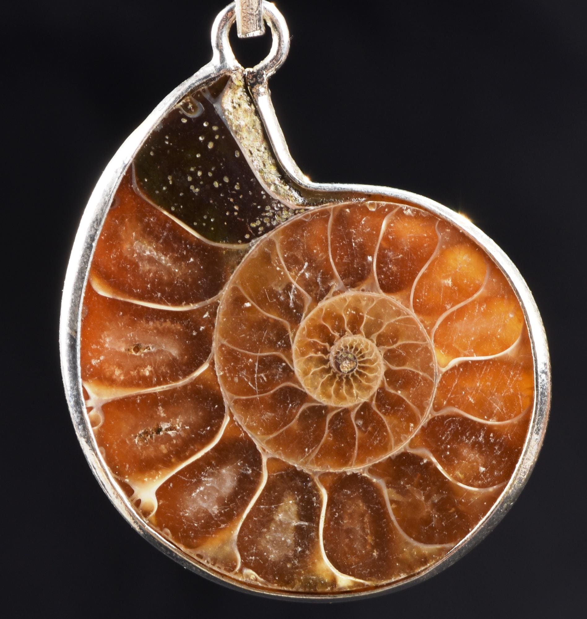 Ammonite silver pendant Emotional balance and stability  Protection from negative energy#7503