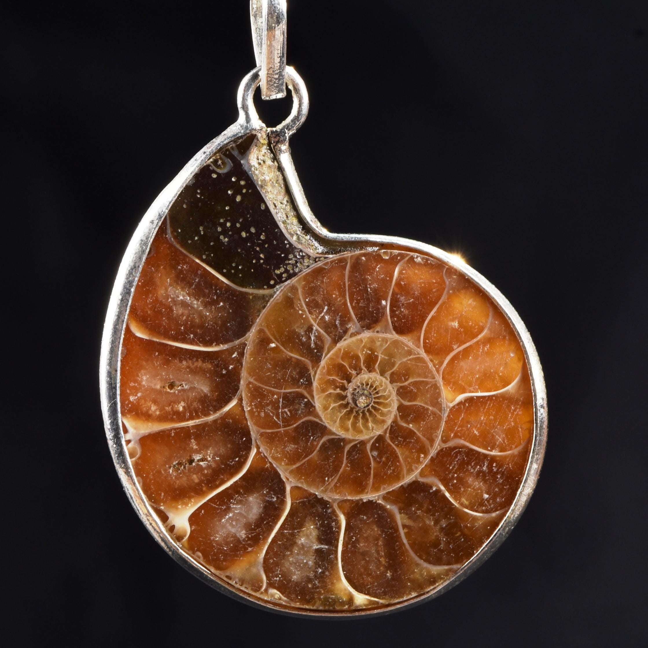 Ammonite silver pendant Emotional balance and stability  Protection from negative energy#7503