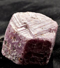 Ruby hexagonal corundum record keeper with black tourmaline in natural form #7420