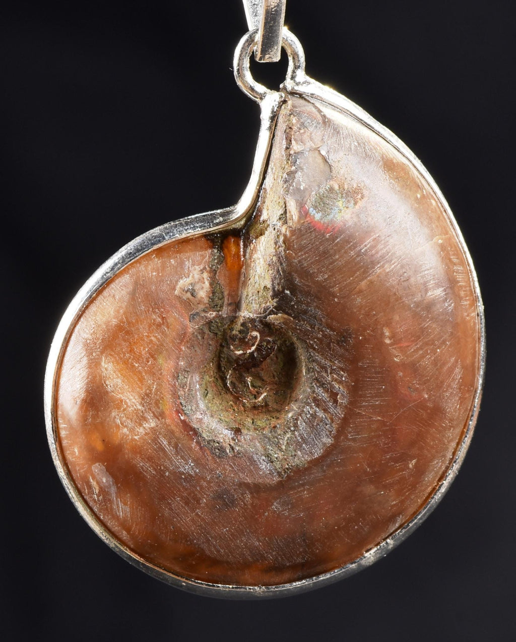 Ammonite silver pendant Emotional balance and stability  Protection from negative energy#7503