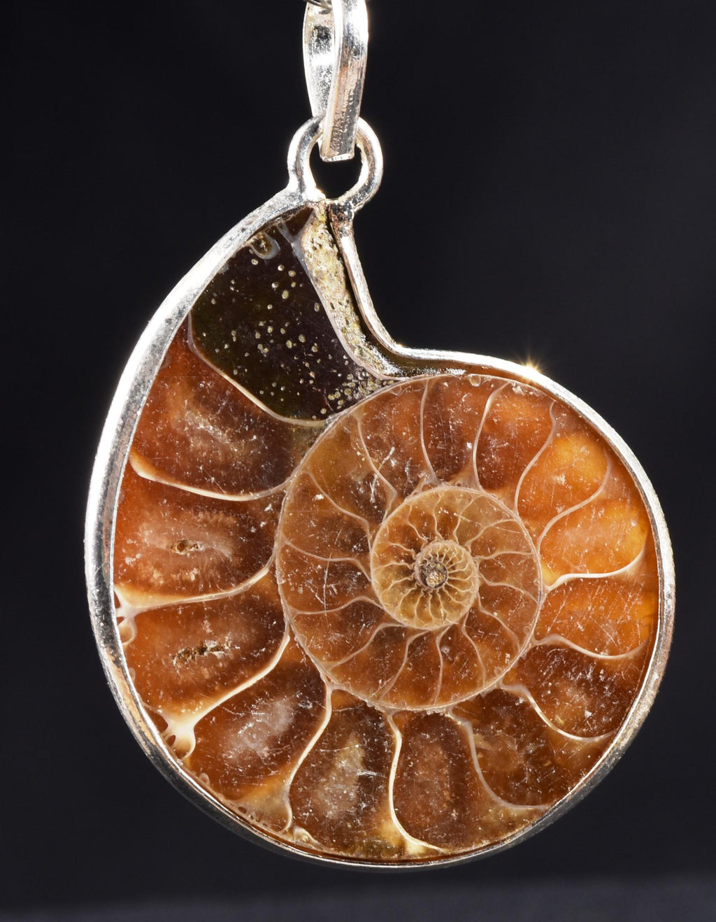 Ammonite silver pendant Emotional balance and stability  Protection from negative energy#7503