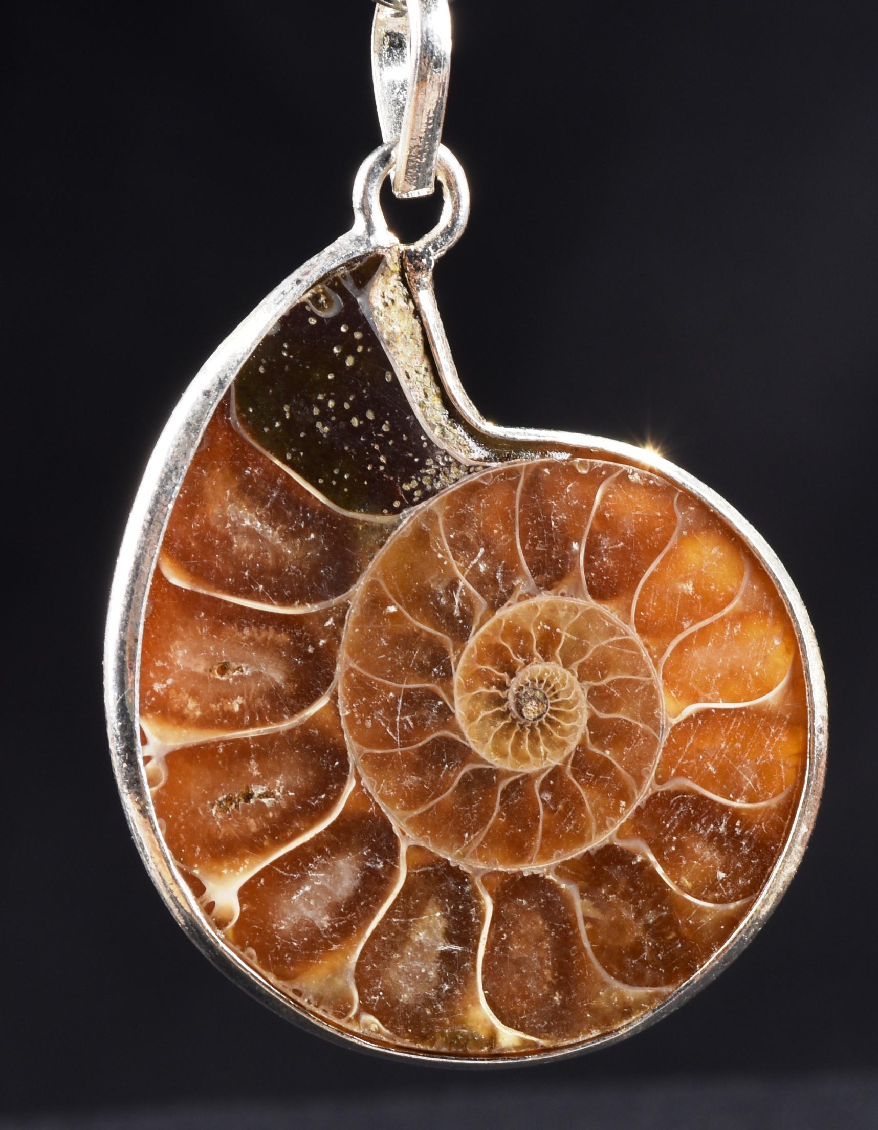 Ammonite silver pendant Emotional balance and stability  Protection from negative energy#7503