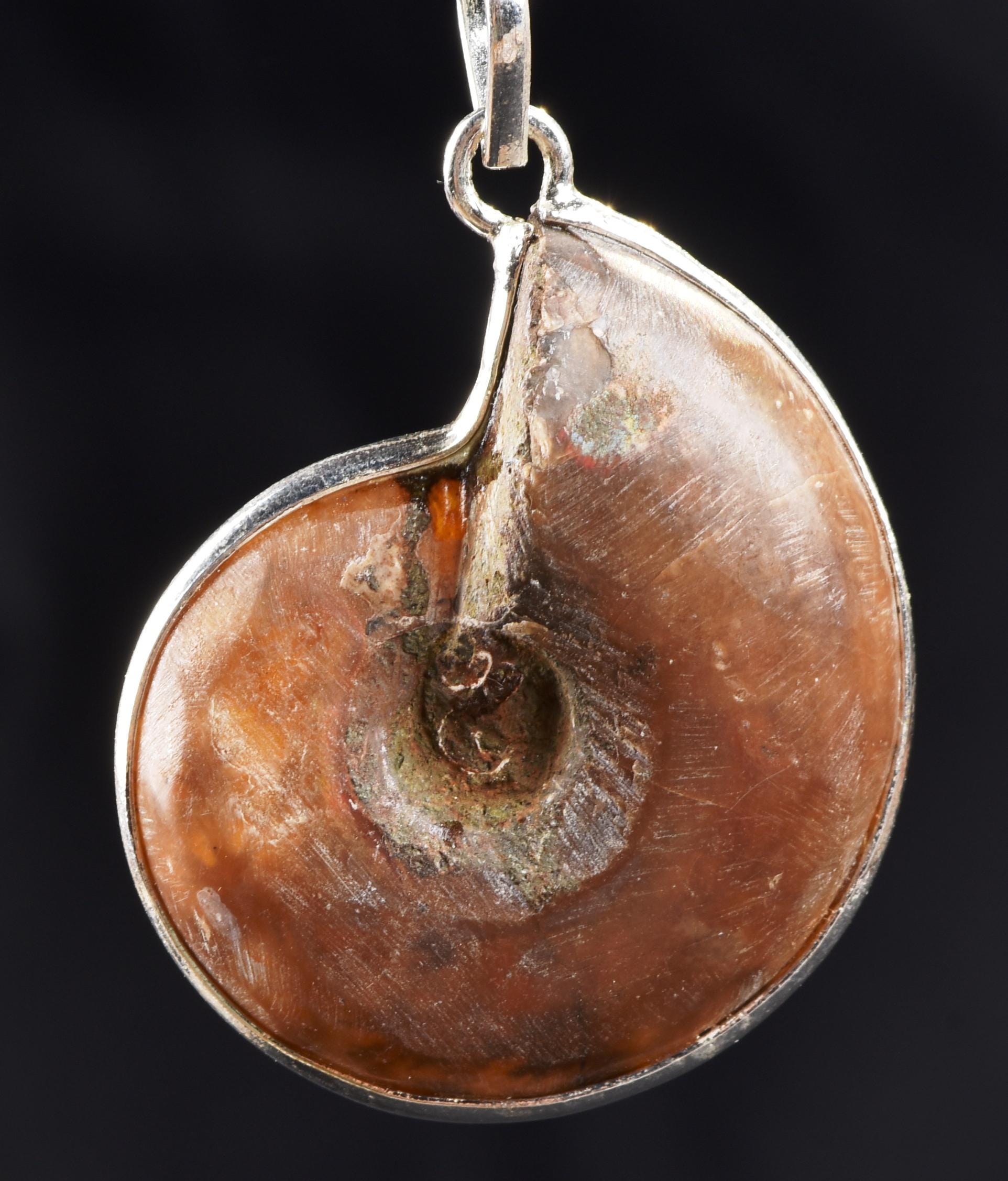Ammonite silver pendant Emotional balance and stability  Protection from negative energy#7503