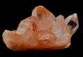 Himalayan pink samadhi holistic bliss family crystal Ascension   himalayan ancient peace & wisdom #7856