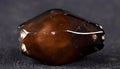 Mystic old  Sulemani  stone/dzi bead / bhaisajyaguru  shaman protection reach patina  #7817