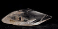 Satyaloka region crystal polished  point  high frequency synergy 12 crystal  ''sat-chit -ananda''  #8230
