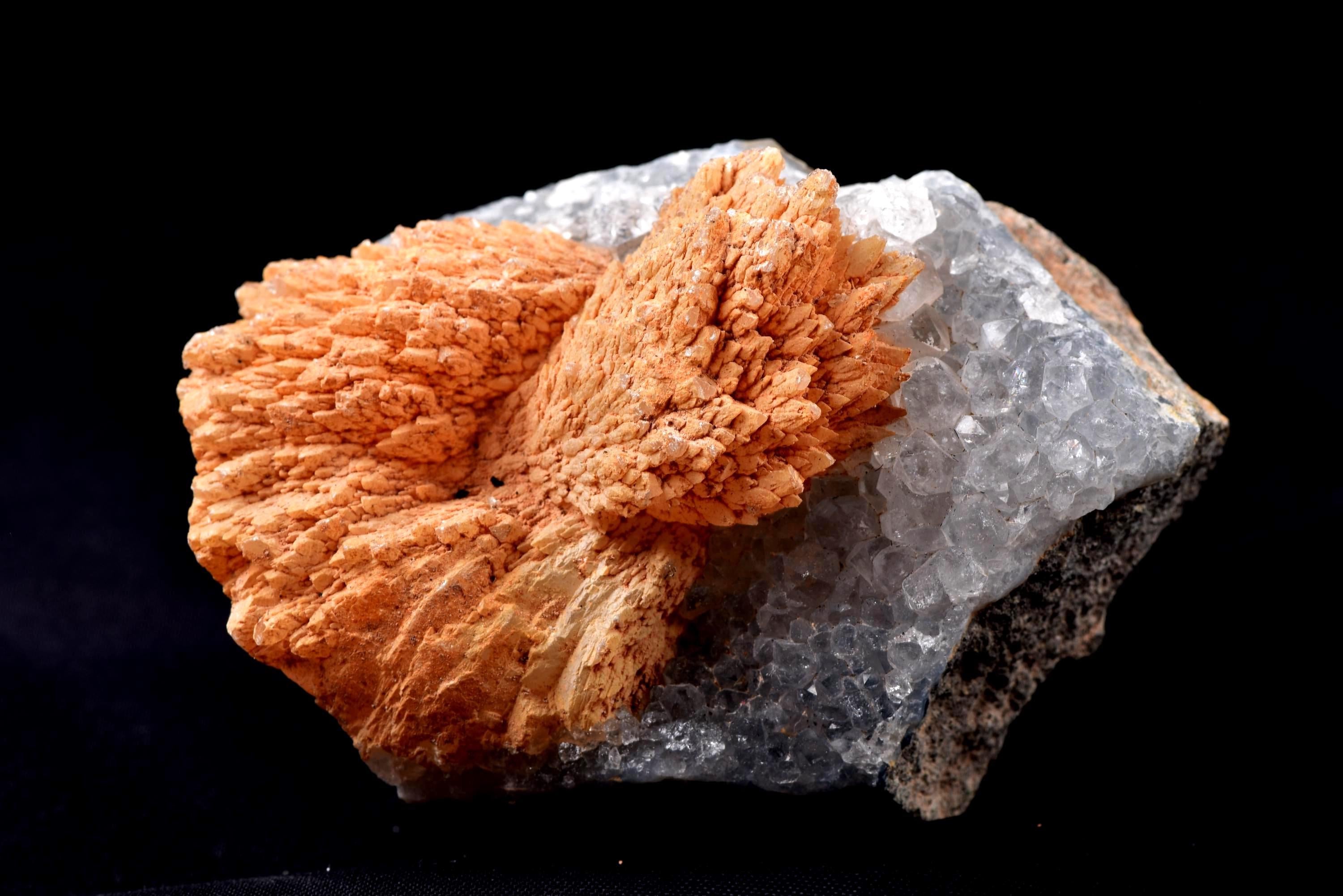 Peach stilbite  flower on quartz  helps with psychic knowing and intuition #8182
